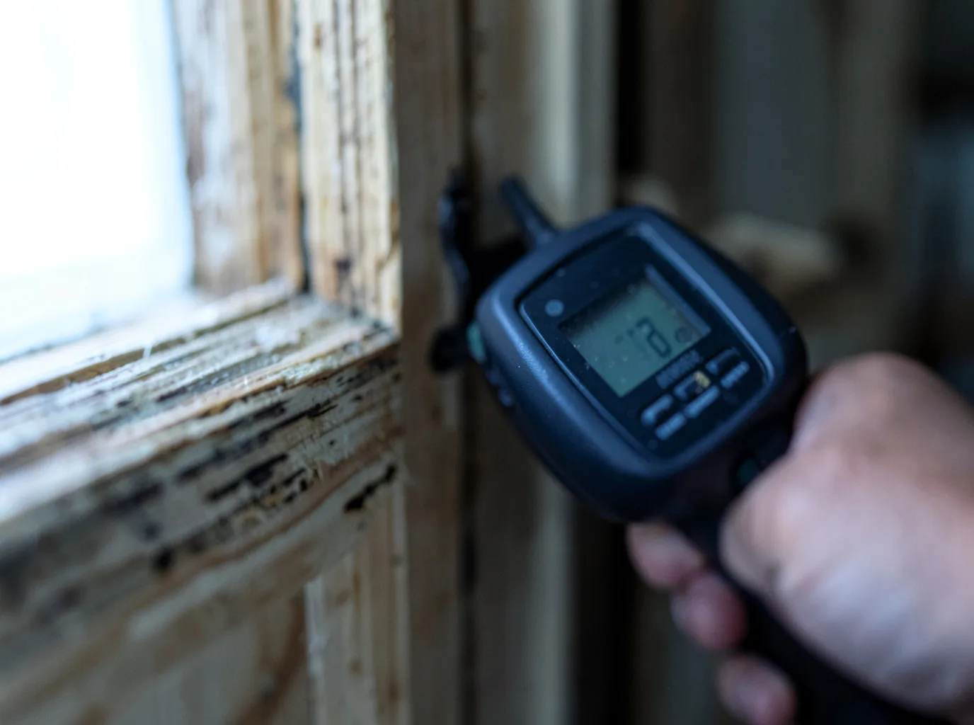 Commercial Water Damage Restoration in Peralta, NM